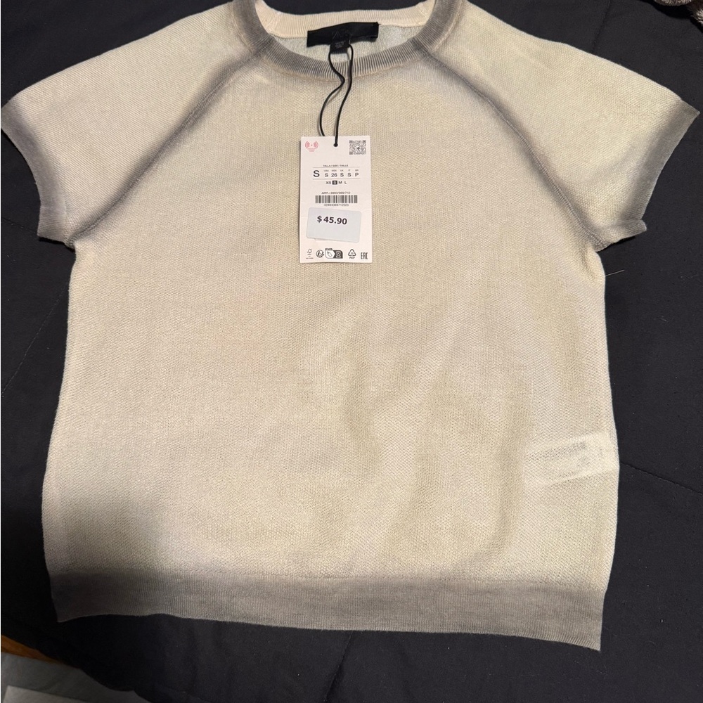 BN Zara Light Gray Knit Top